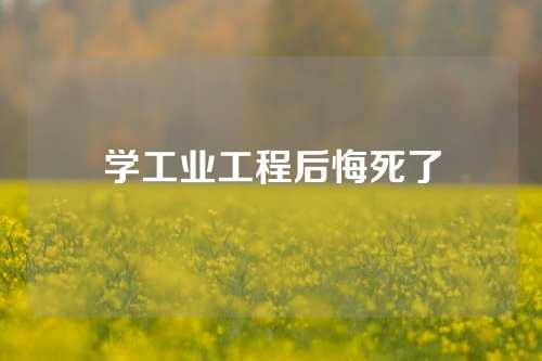 学工业工程后悔死了