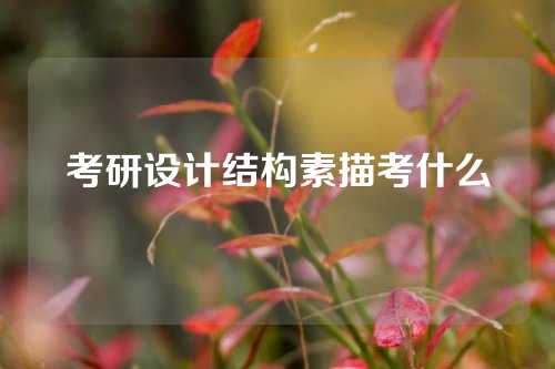 考研设计结构素描考什么