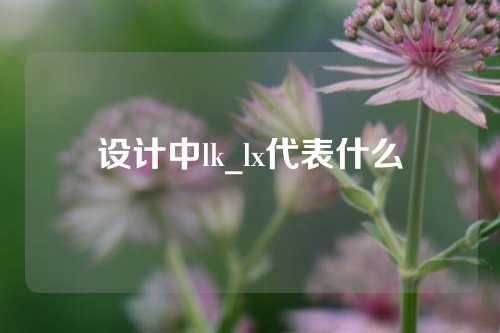 设计中lk_lx代表什么
