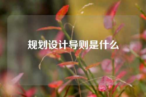 规划设计导则是什么