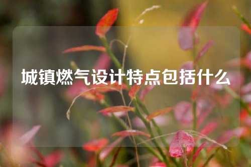 城镇燃气设计特点包括什么