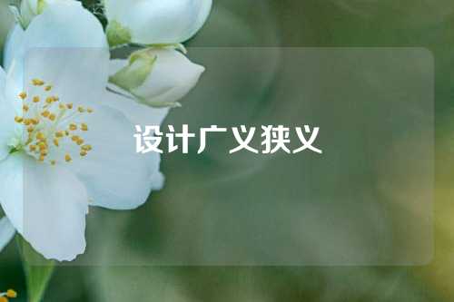 设计广义狭义