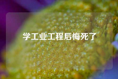 学工业工程后悔死了