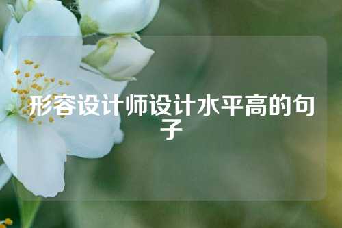 形容设计师设计水平高的句子
