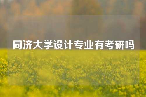 同济大学设计专业有考研吗