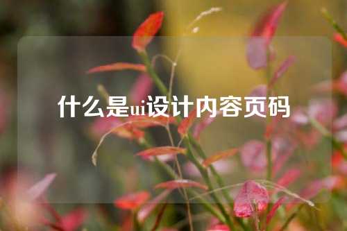 什么是ui设计内容页码