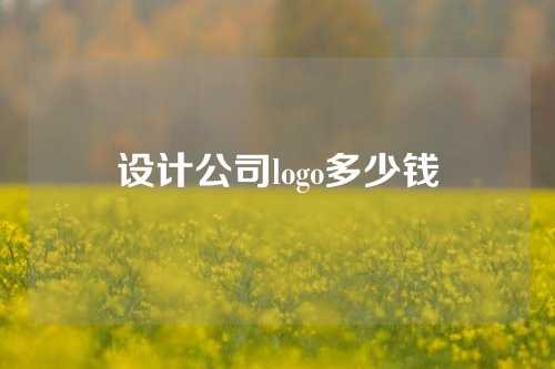设计公司logo多少钱