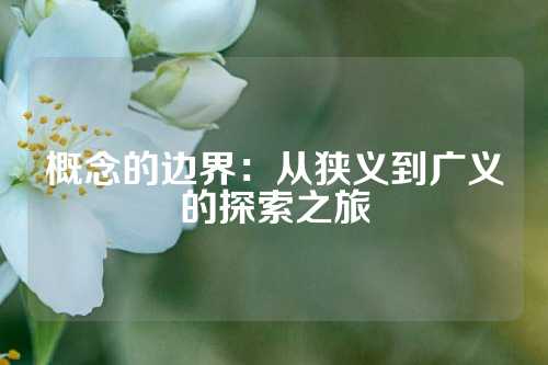 概念的边界：从狭义到广义的探索之旅