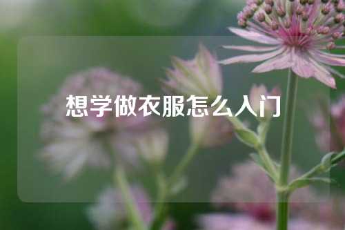想学做衣服怎么入门