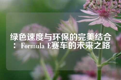 绿色速度与环保的完美结合：Formula E赛车的未来之路