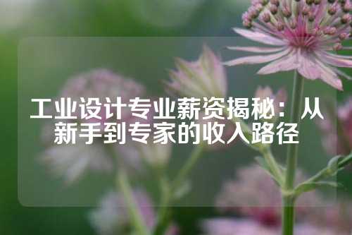 工业设计专业薪资揭秘：从新手到专家的收入路径