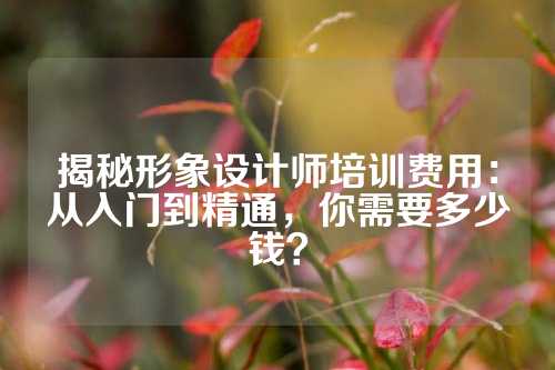 揭秘形象设计师培训费用：从入门到精通，你需要多少钱？