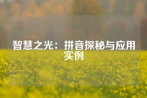 智慧之光:拼音探秘与应用实例