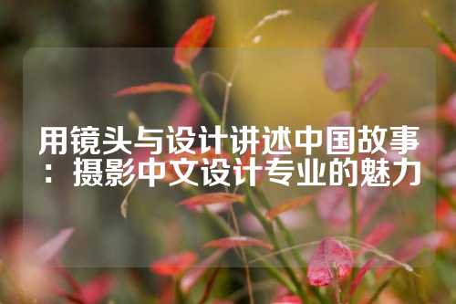 用镜头与设计讲述中国故事：摄影中文设计专业的魅力