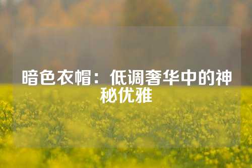 暗色衣帽：低调奢华中的神秘优雅