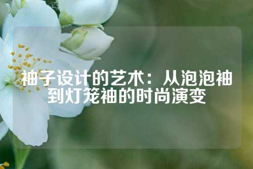 袖子设计的艺术：从泡泡袖到灯笼袖的时尚演变