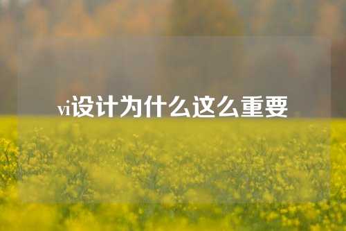 vi设计为什么这么重要