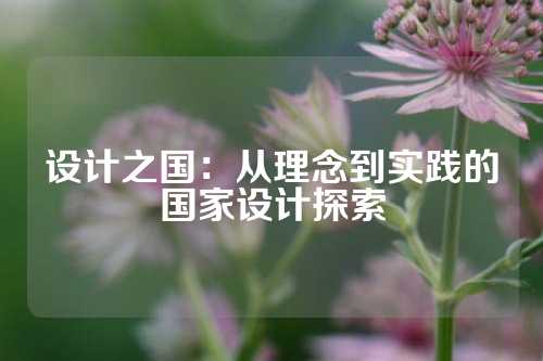设计之国：从理念到实践的国家设计探索