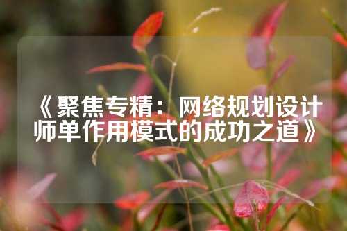 《聚焦专精:网络规划设计师单作用模式的成功之道》