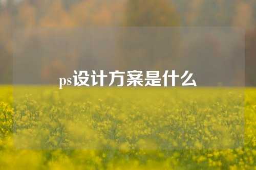 ps设计方案是什么