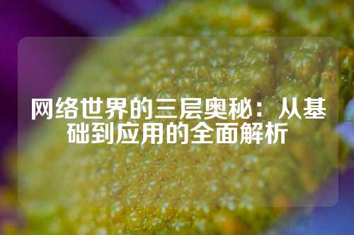 网络世界的三层奥秘：从基础到应用的全面解析