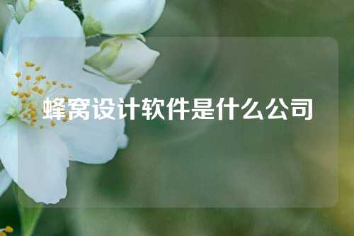 蜂窝设计软件是什么公司