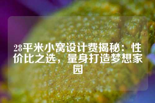 28平米小窝设计费揭秘：性价比之选，量身打造梦想家园