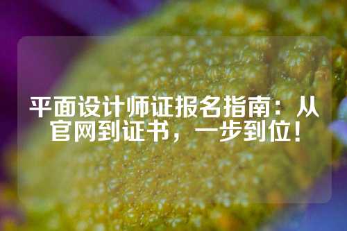 平面设计师证报名指南：从官网到证书，一步到位！