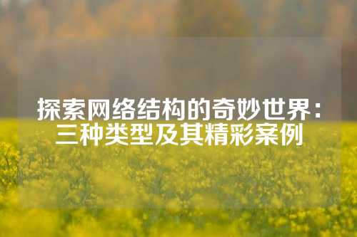 探索网络结构的奇妙世界：三种类型及其精彩案例