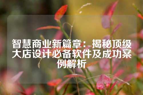 智慧商业新篇章：揭秘顶级大店设计必备软件及成功案例解析
