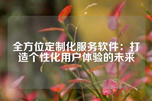 全方位定制化服务软件：打造个性化用户体验的未来