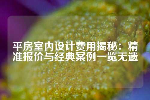 平房室内设计费用揭秘：精准报价与经典案例一览无遗