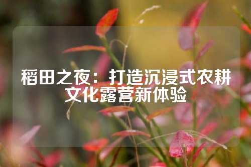 稻田之夜：打造沉浸式农耕文化露营新体验