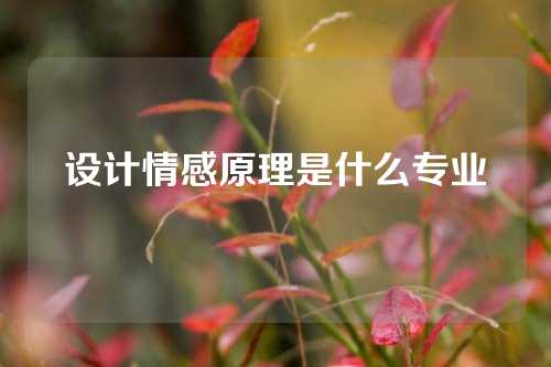 设计情感原理是什么专业