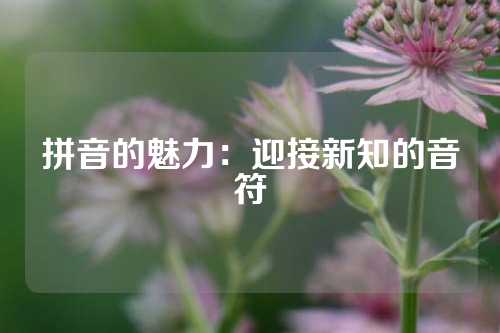 拼音的魅力：迎接新知的音符