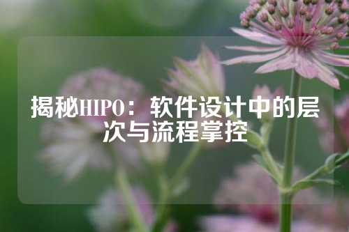 揭秘HIPO：软件设计中的层次与流程掌控