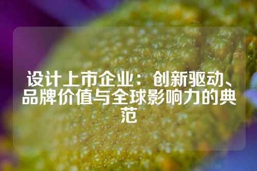 设计上市企业：创新驱动、品牌价值与全球影响力的典范