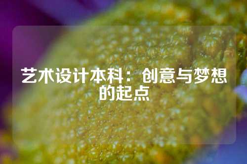 艺术设计本科：创意与梦想的起点