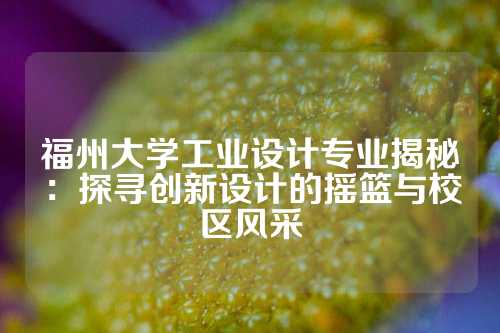 福州大学工业设计专业揭秘：探寻创新设计的摇篮与校区风采