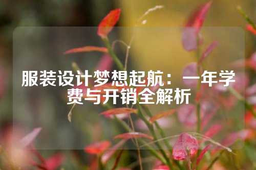 服装设计梦想起航：一年学费与开销全解析
