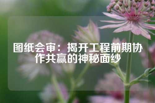 图纸会审：揭开工程前期协作共赢的神秘面纱