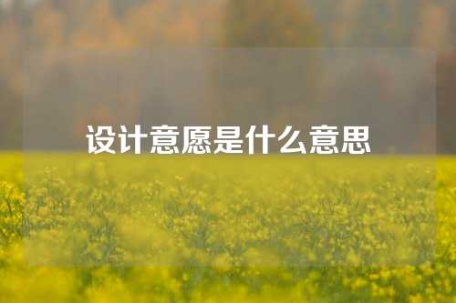 设计意愿是什么意思