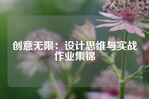 创意无限:设计思维与实战作业集锦