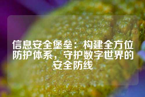 信息安全堡垒：构建全方位防护体系，守护数字世界的安全防线
