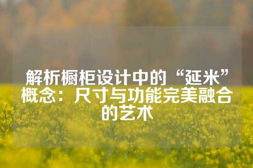 解析橱柜设计中的“延米”概念：尺寸与功能完美融合的艺术