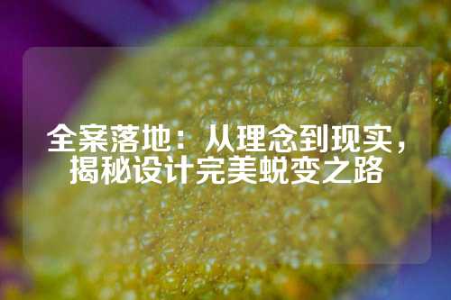 全案落地：从理念到现实，揭秘设计完美蜕变之路