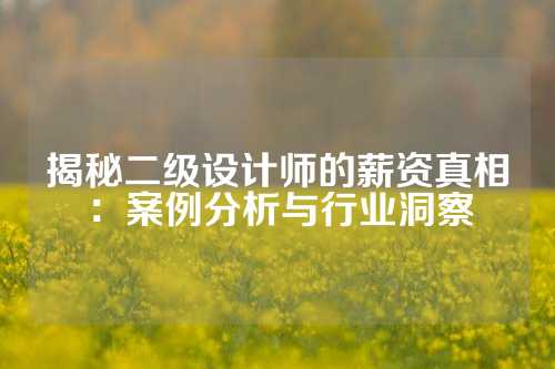 揭秘二级设计师的薪资真相：案例分析与行业洞察