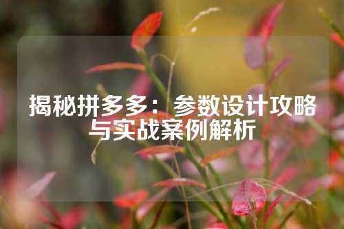 揭秘拼多多：参数设计攻略与实战案例解析