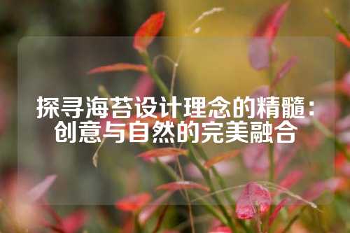 探寻海苔设计理念的精髓：创意与自然的完美融合