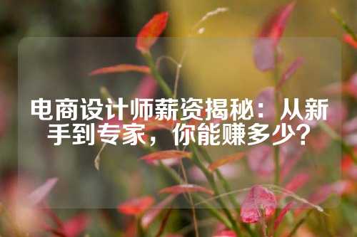 电商设计师薪资揭秘：从新手到专家，你能赚多少？